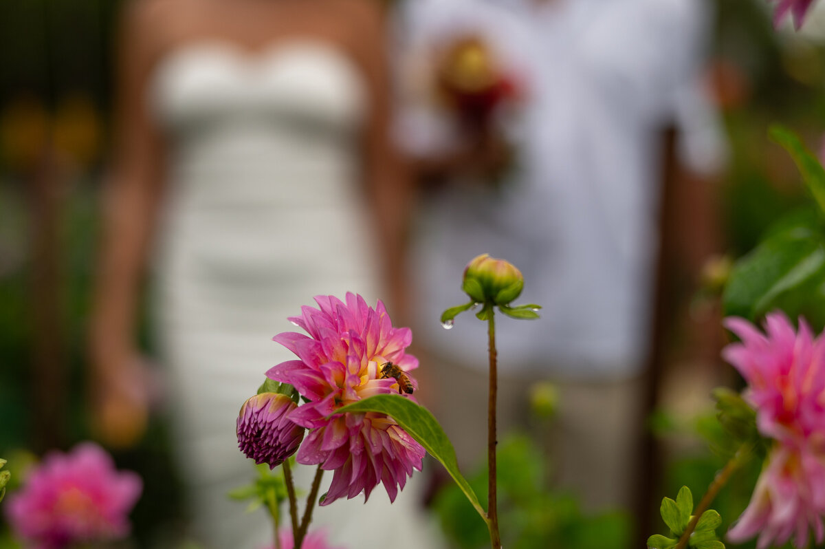 Duda & Matheus Sneak Peeks-115