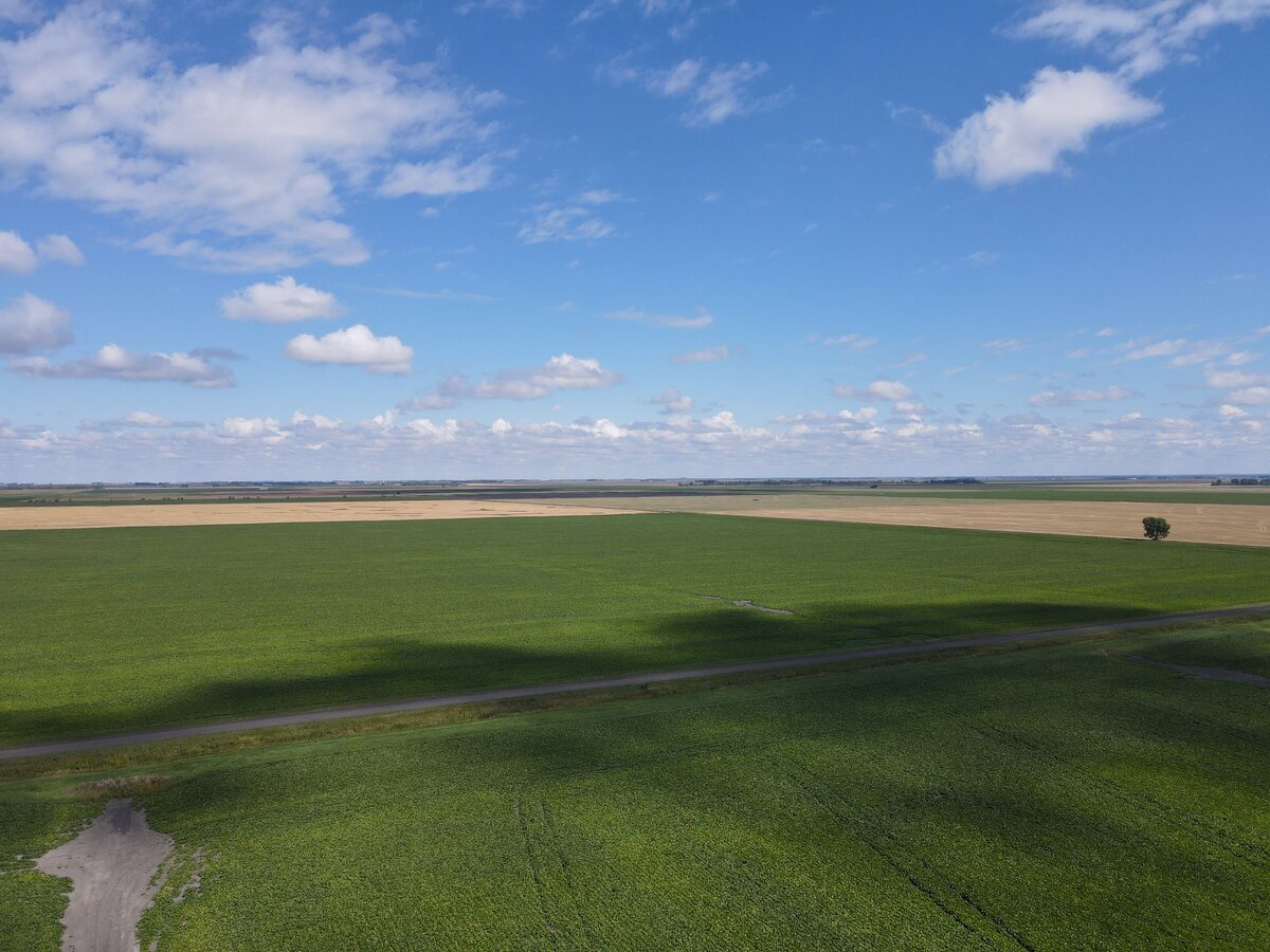 DJI_0888