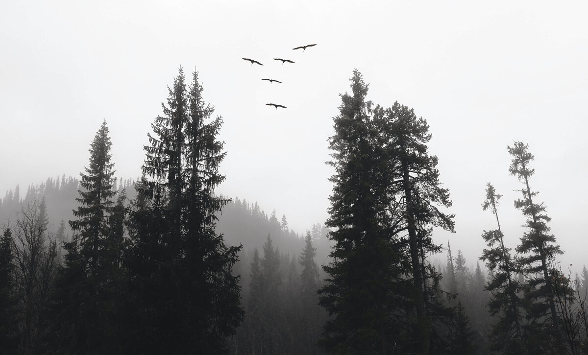 fredrik-solli-wandem-hM_mLTS1OxI-unsplash