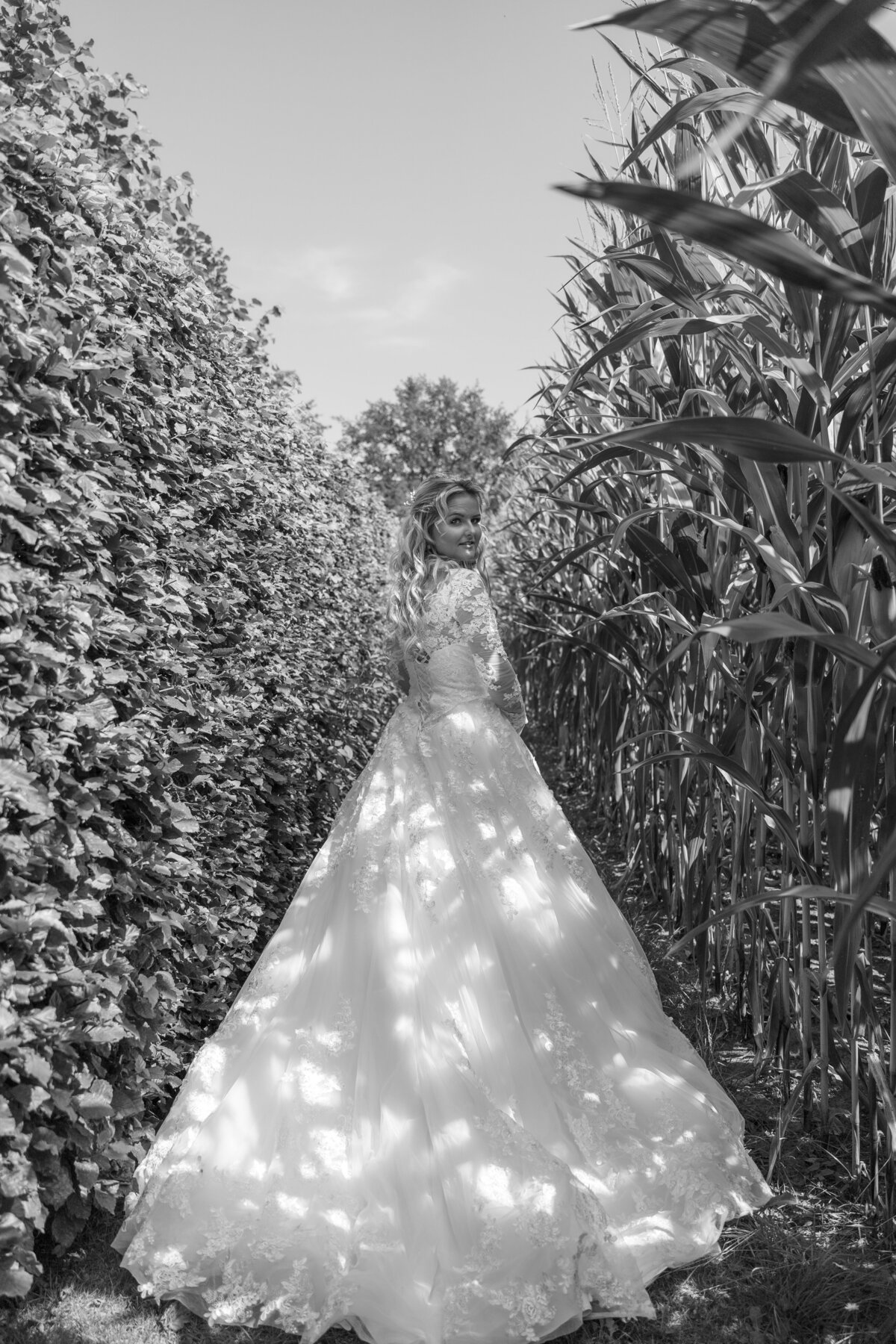 Wedding S&K-113