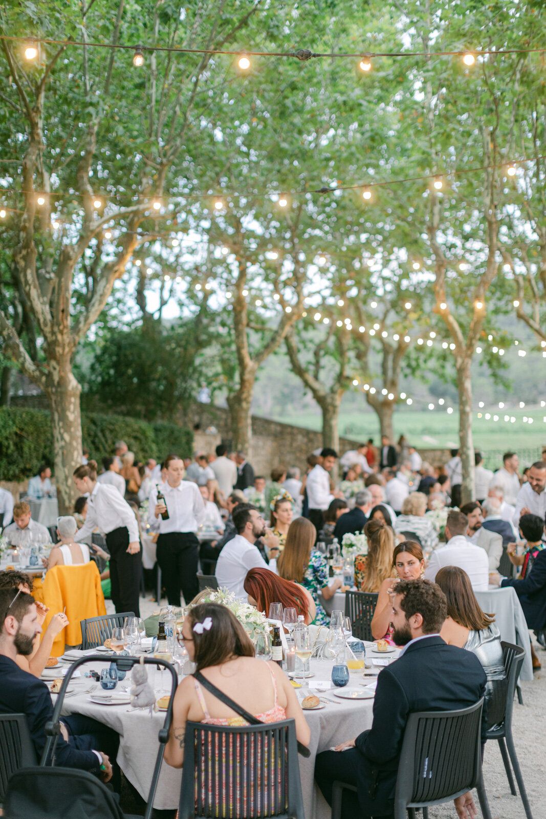 Elegant outdoor wedding dinner in Provence with guests dining under string lights and plane trees.