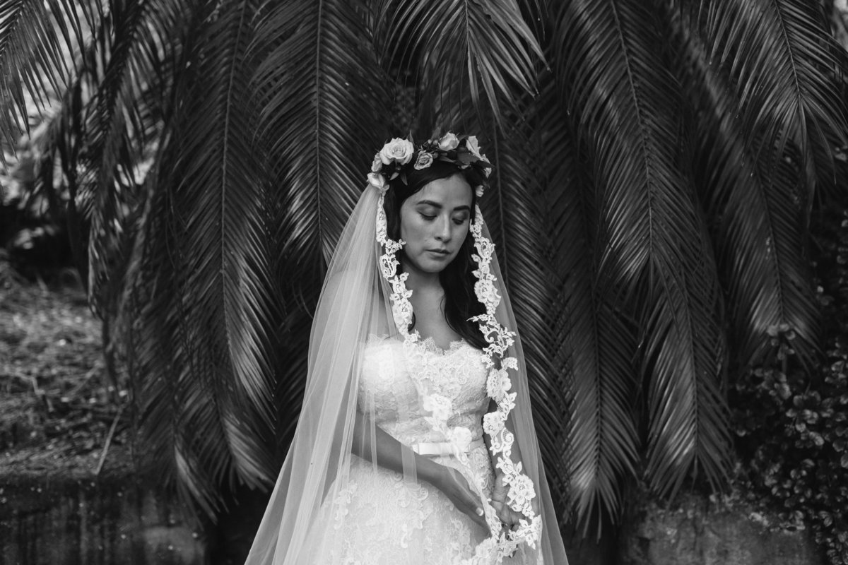 KUALOA-RANCH-WEDDING-PHOTOGRAPHER-MEGAN-SAUL (7 of 8)