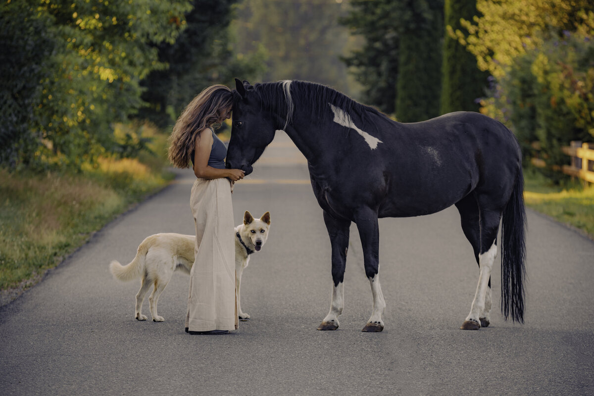 seattle-equine-photographer-6