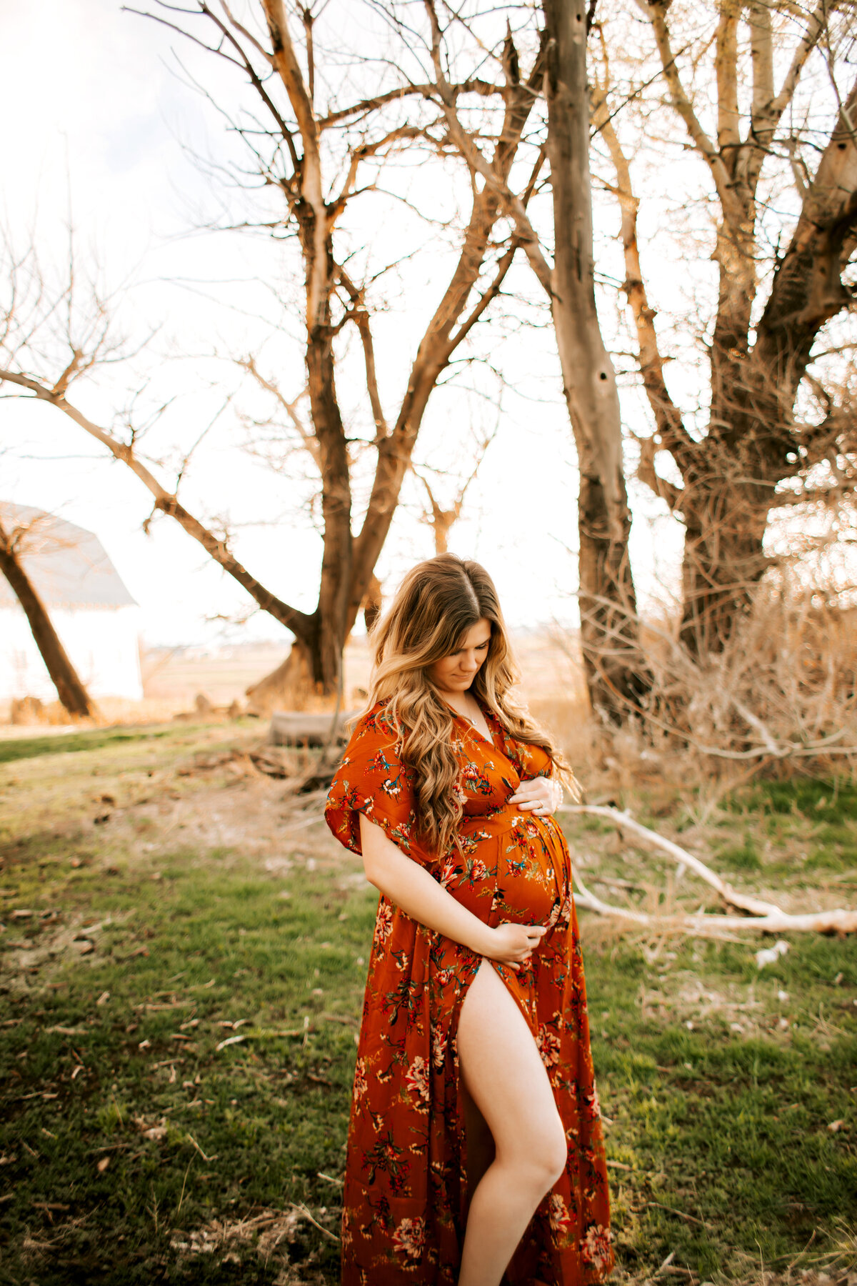 Colorado Maternity Photographer, Colorado Maternity Photos, Denver Maternity Photographer