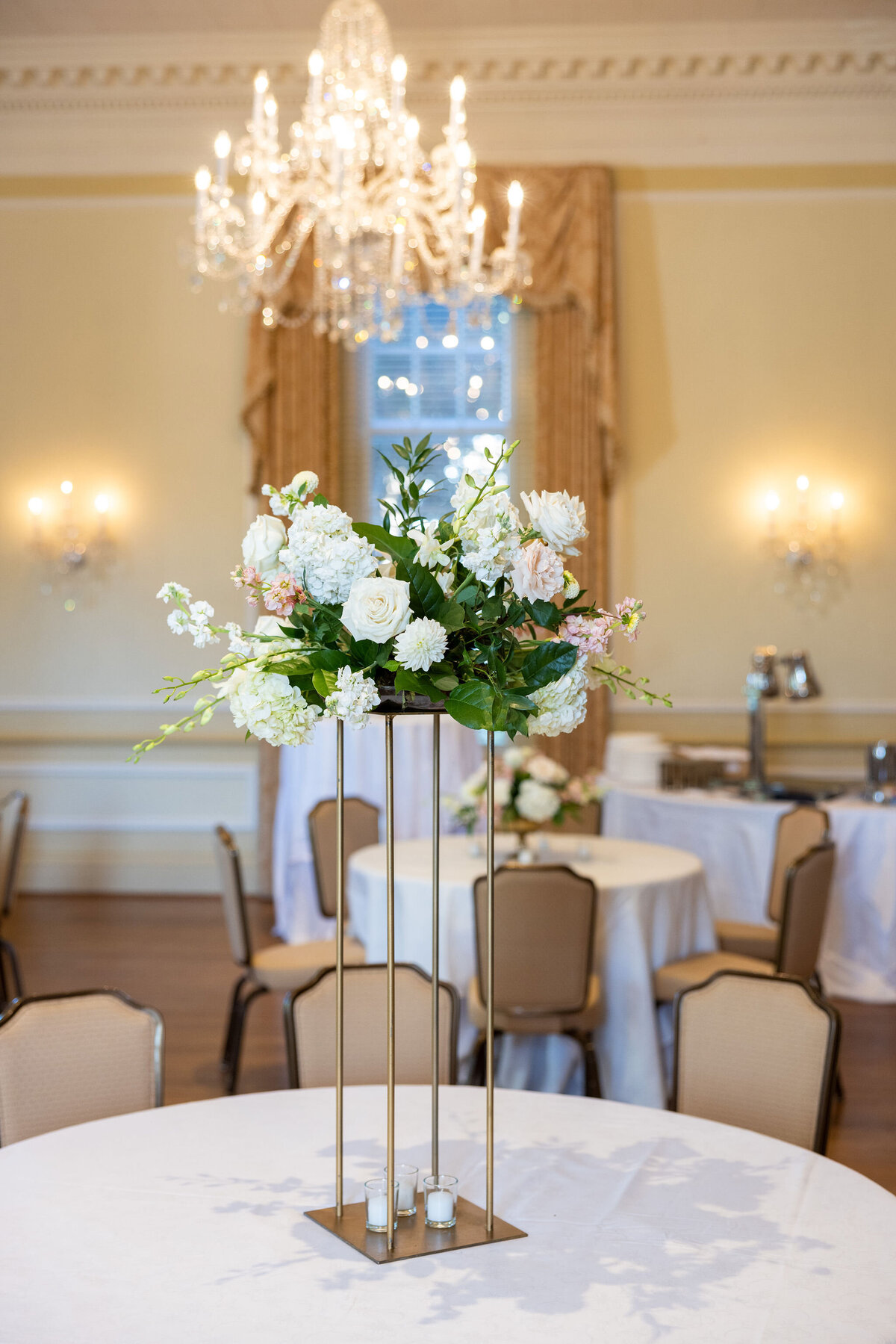 AaronWatsonPhotography0618