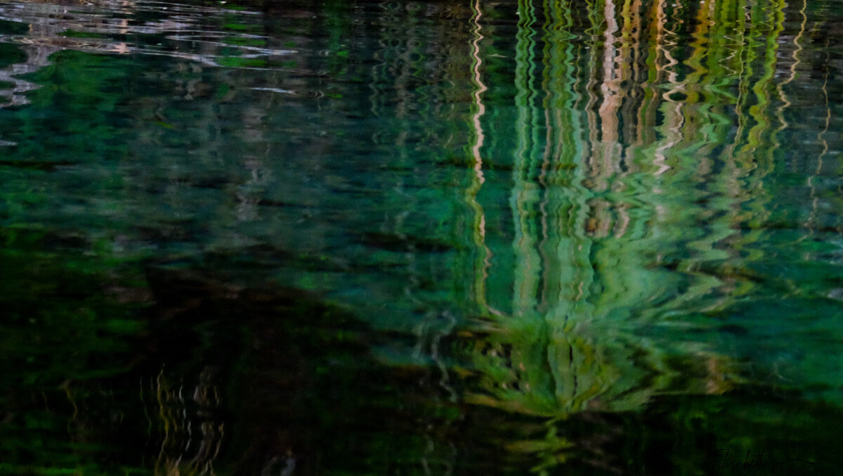 DSCF4287