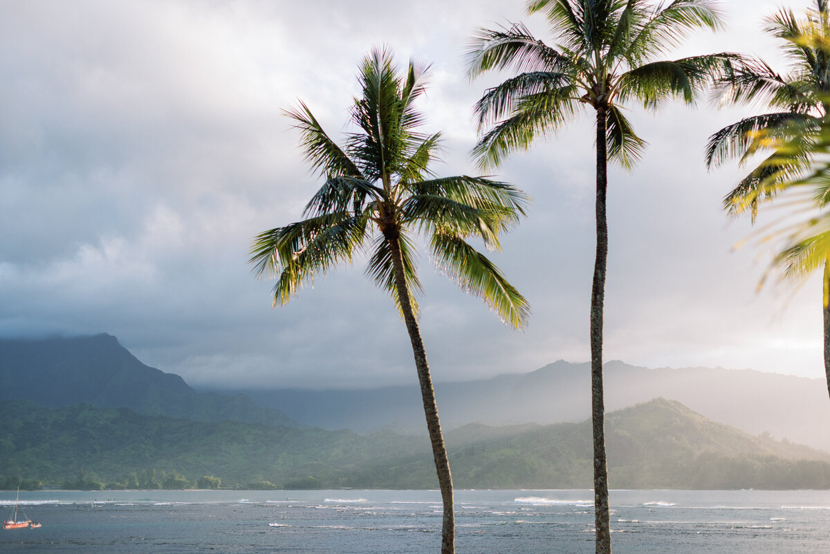 Best-Kauai-Photographer-45