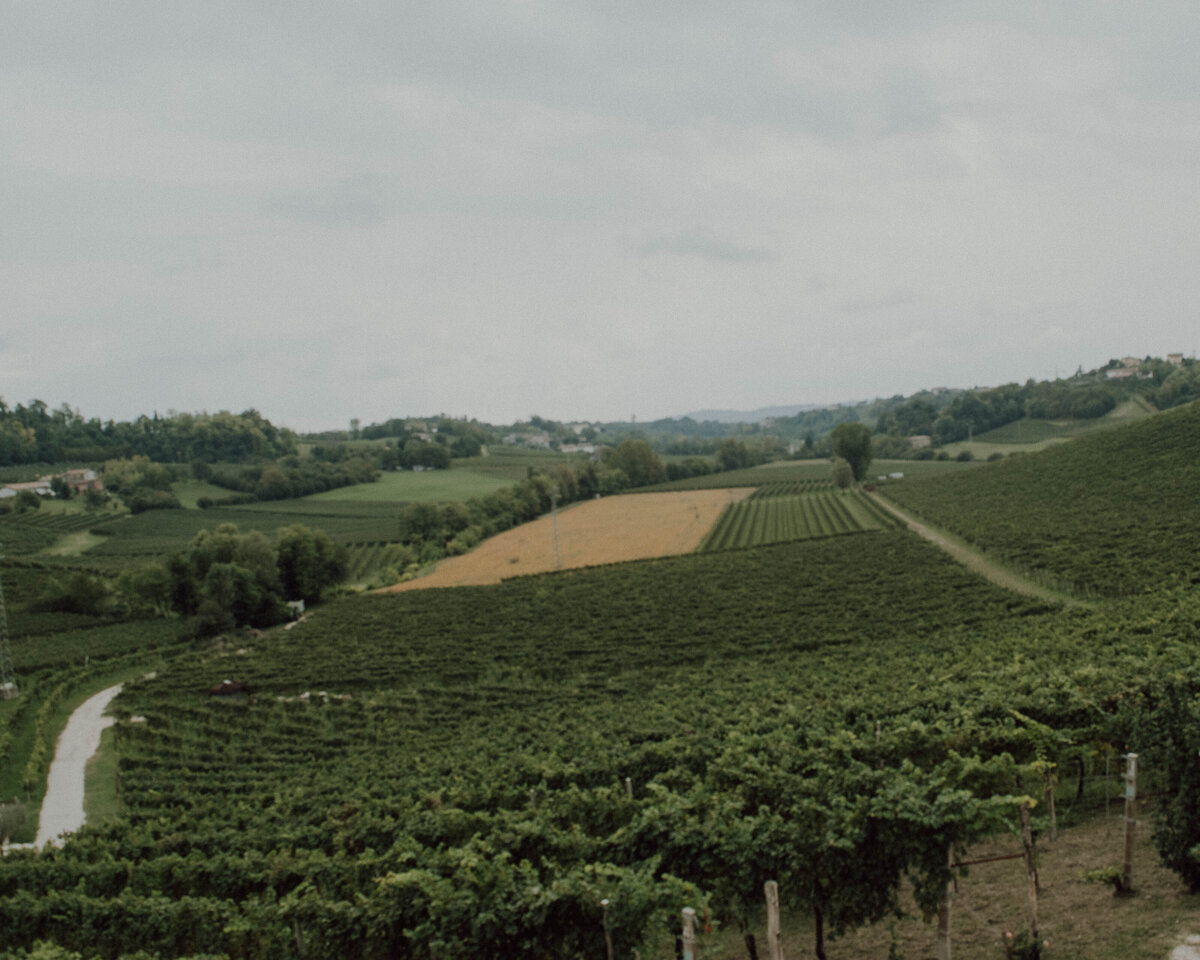 Veneto Wine Tour (29 of 91)