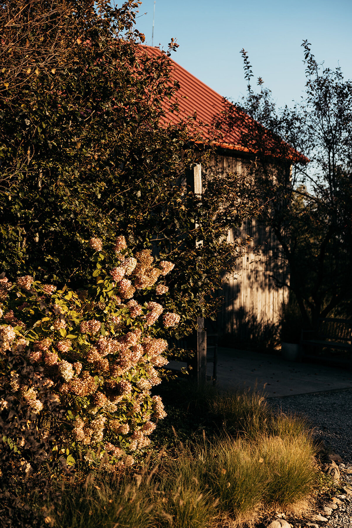 lush hydrangeas and gardens at the Willowbrook wedding venue in PIttsburgh, PA