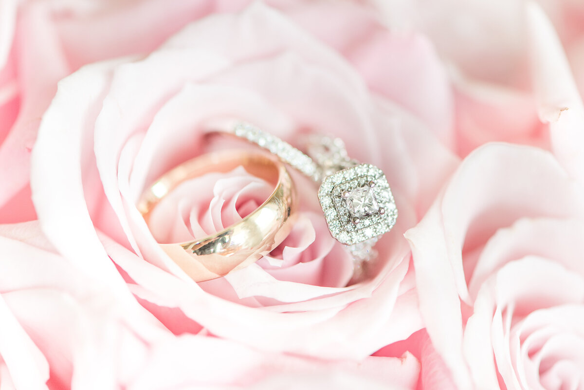 close up of wedding rings on pink roses