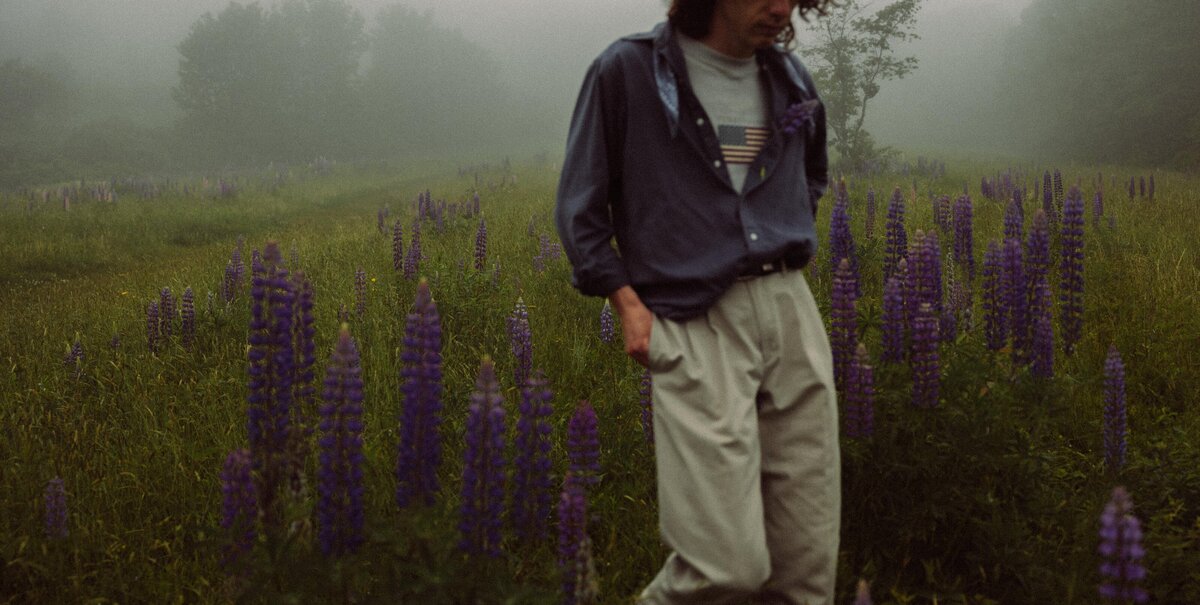 Viewing Lupines in Maine