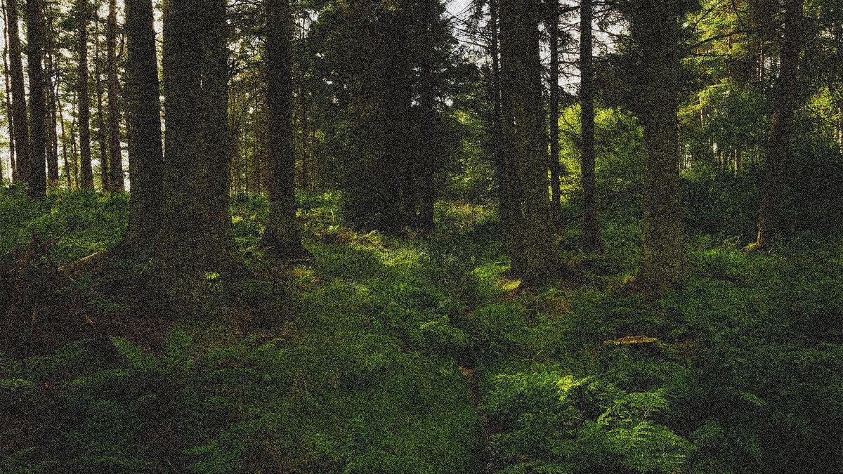 Authentic social media content creation and video editing for wellness brands looking to expand their reach.