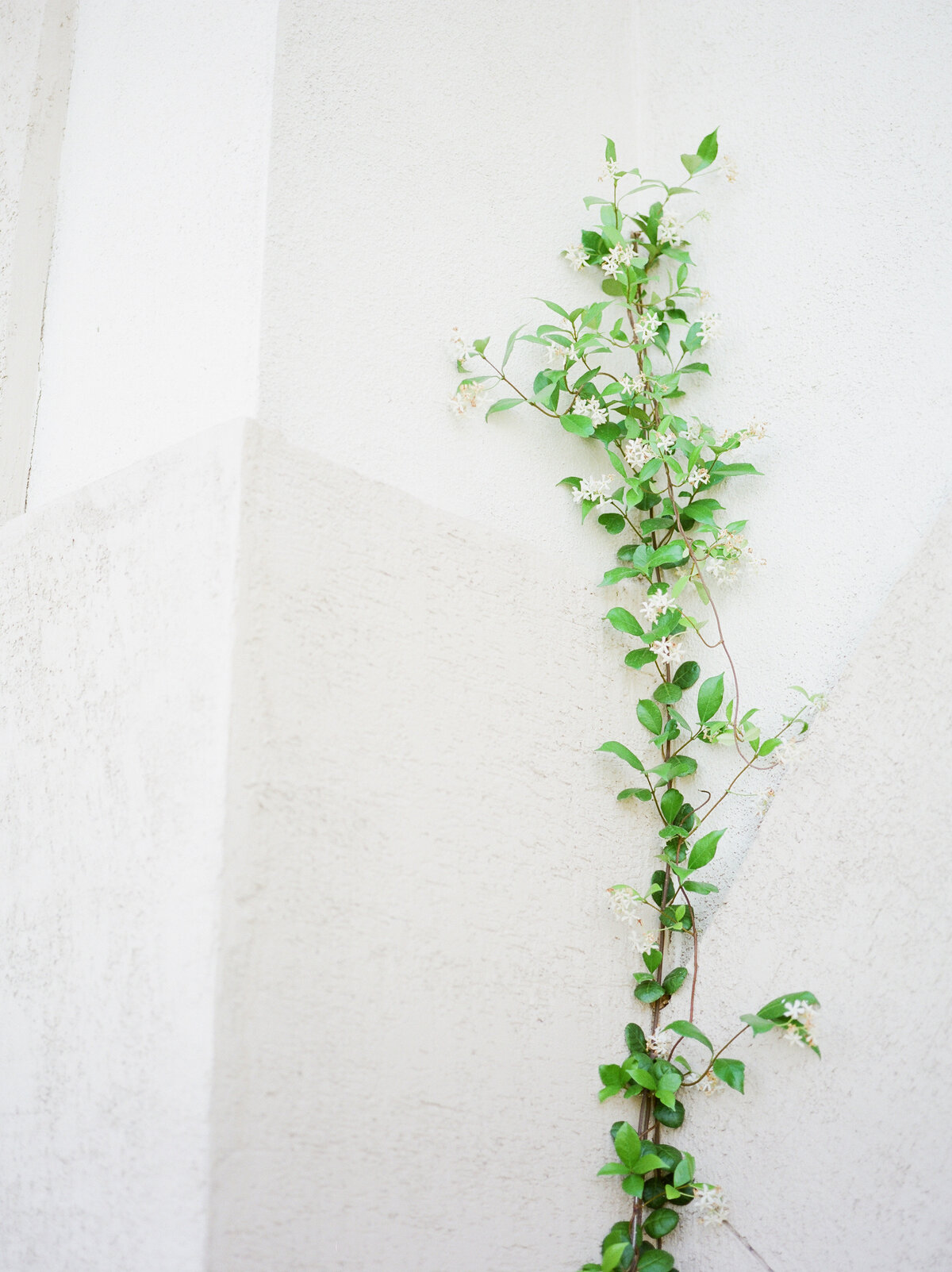 Alexa + Justin Wedding Sneaks (film)-1005