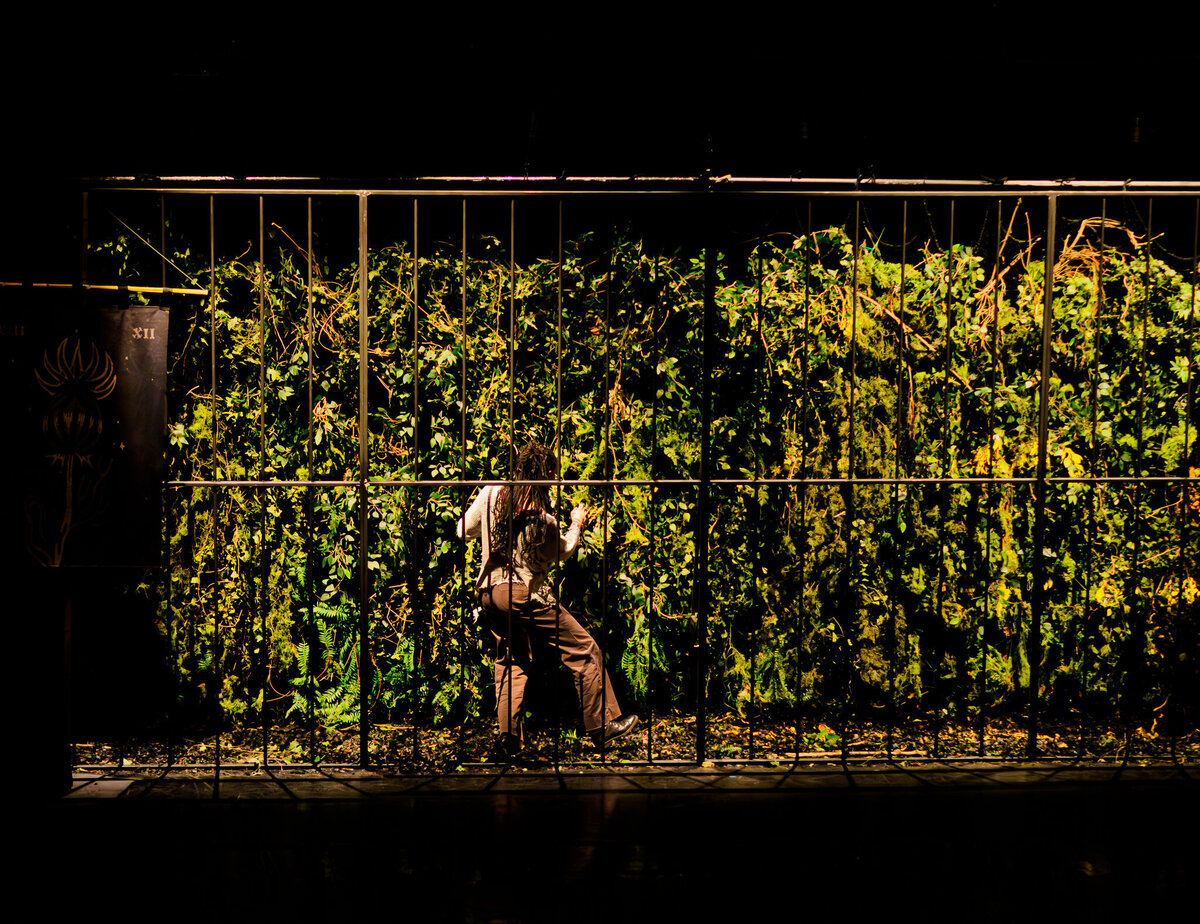 ROBIN  TPV_2130334-Enhanced-NR