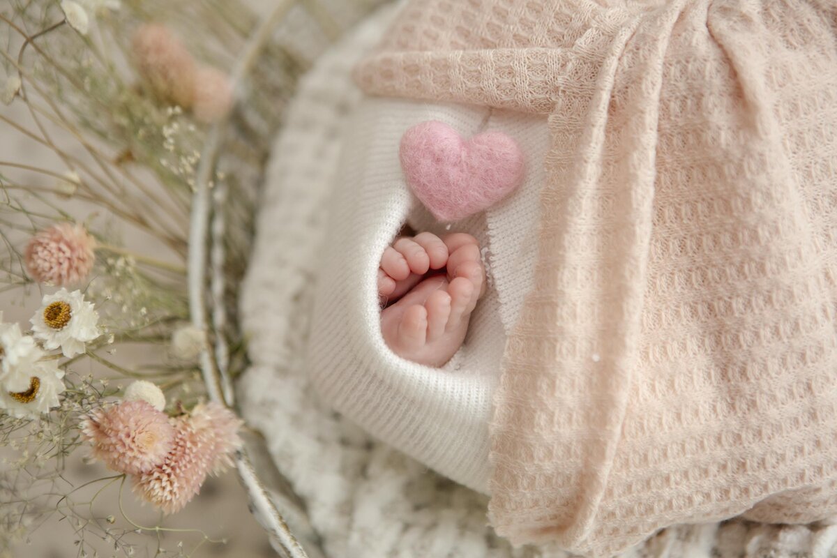 Marietta Newborn Photographer