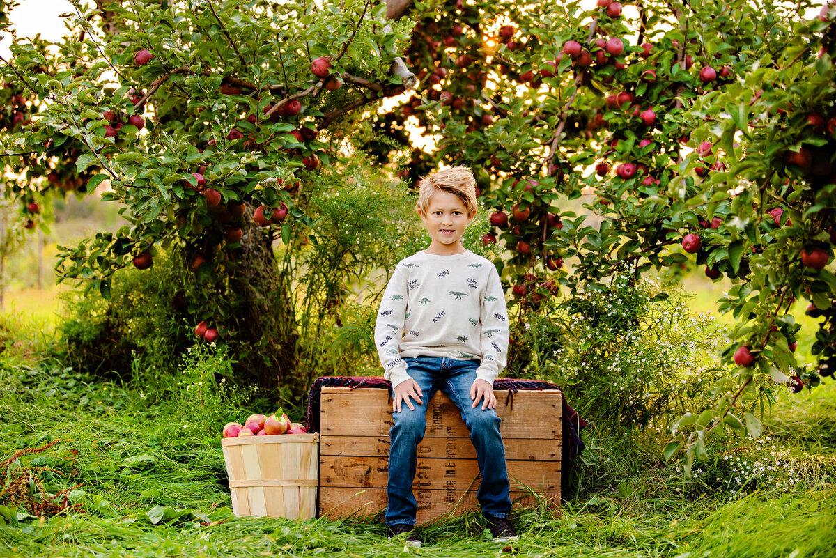 Young boy sitting on an apple crate in an apple orchard for his fall family photos in Burlington, ON