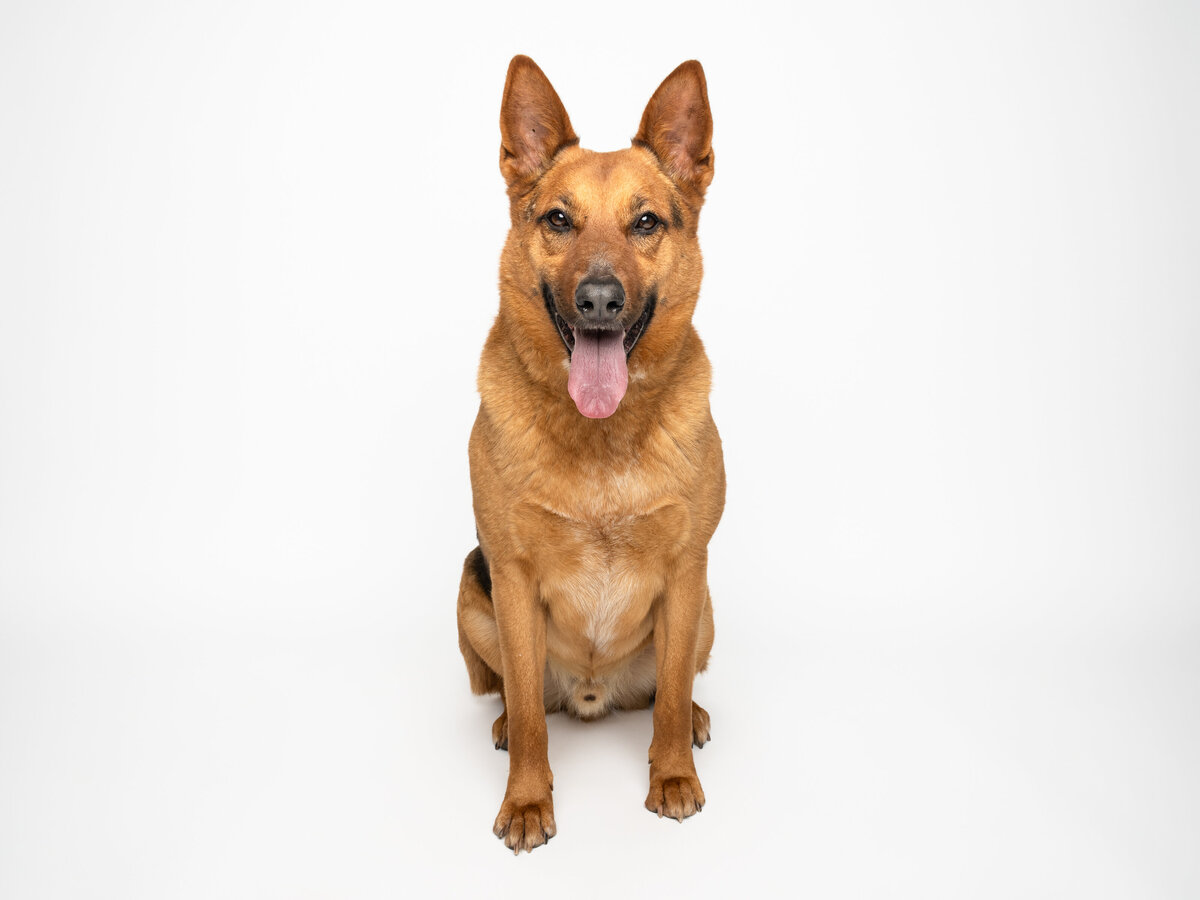 Website3500-DSC01364