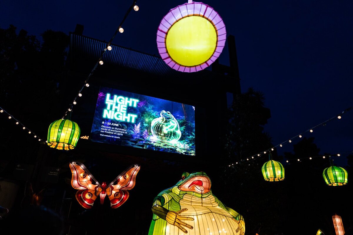 240615 TOP RYDE Light The Night 044-Web