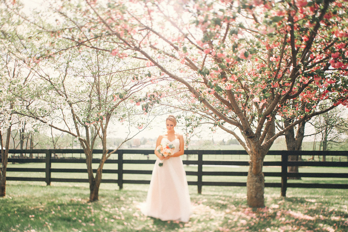 Warrenwood Manor - Kentucky Wedding Venue - 00055