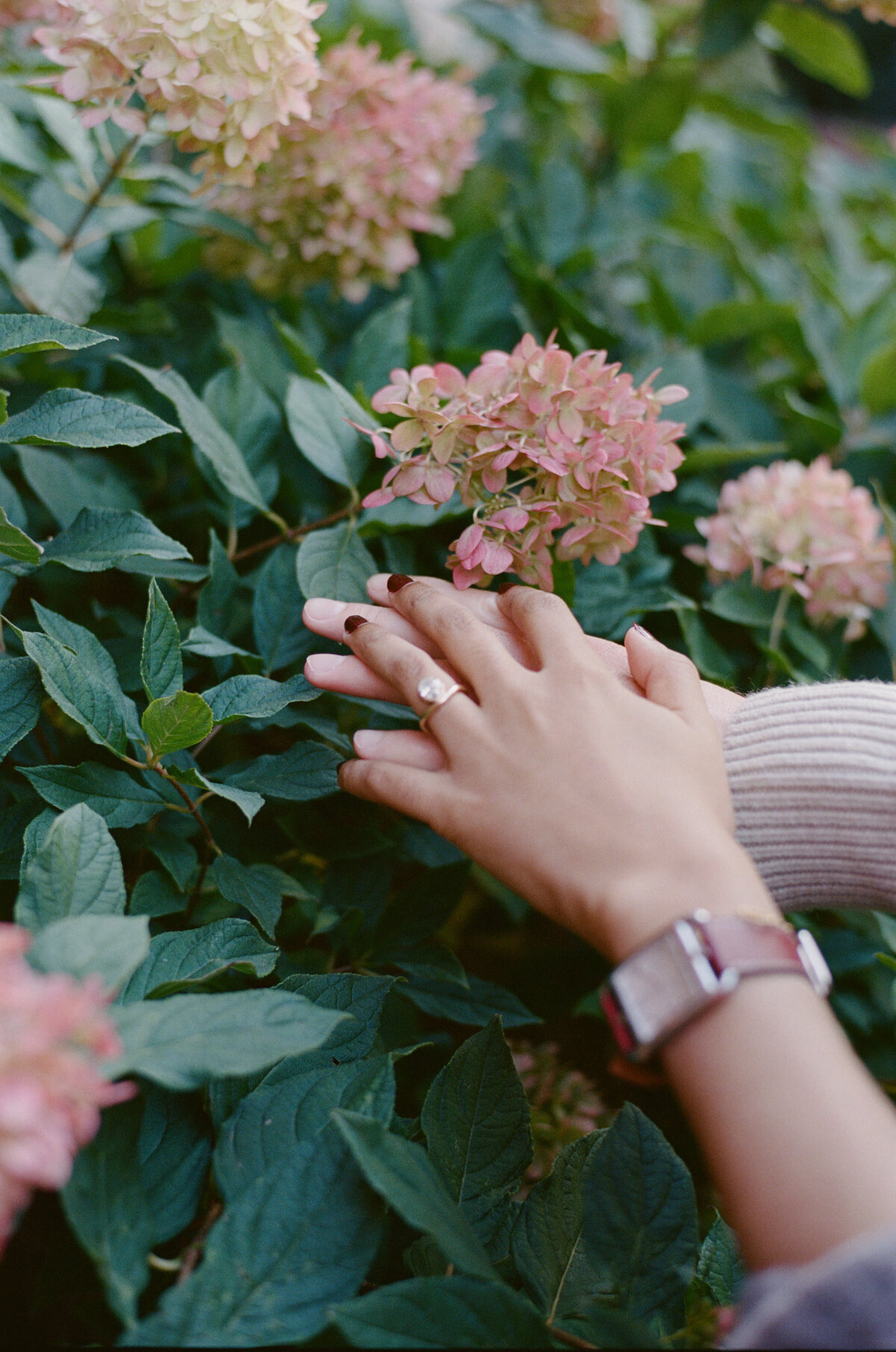 AllyandRich-Engagement-SneakPeek-31