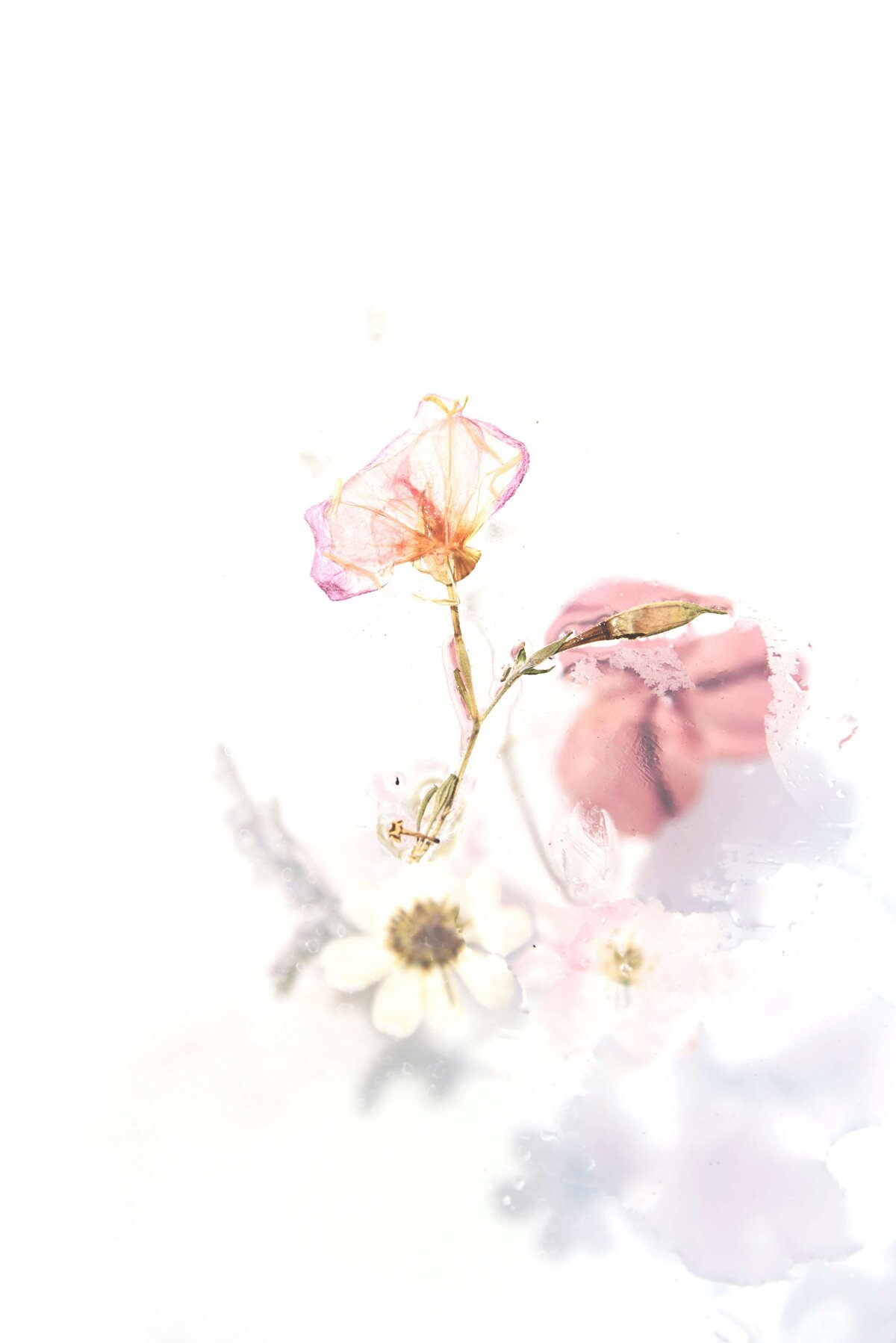 evie-s-7OHZFbScMCM-unsplash