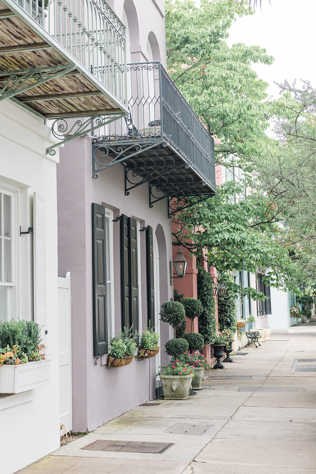 Charleston-1-Makenzie Cioffi Photography LLC_ 2025