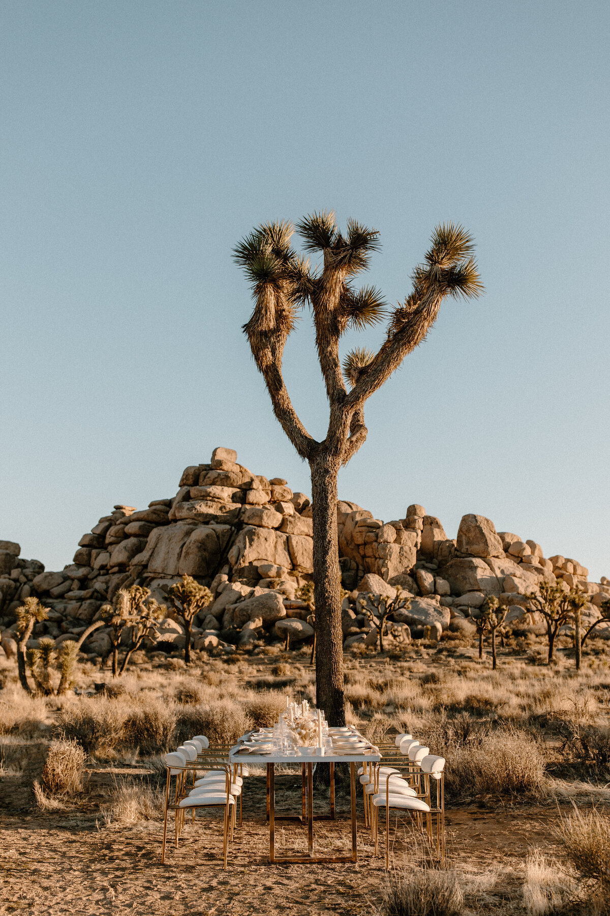 Styled Wild Joshua Tree Elopement-125