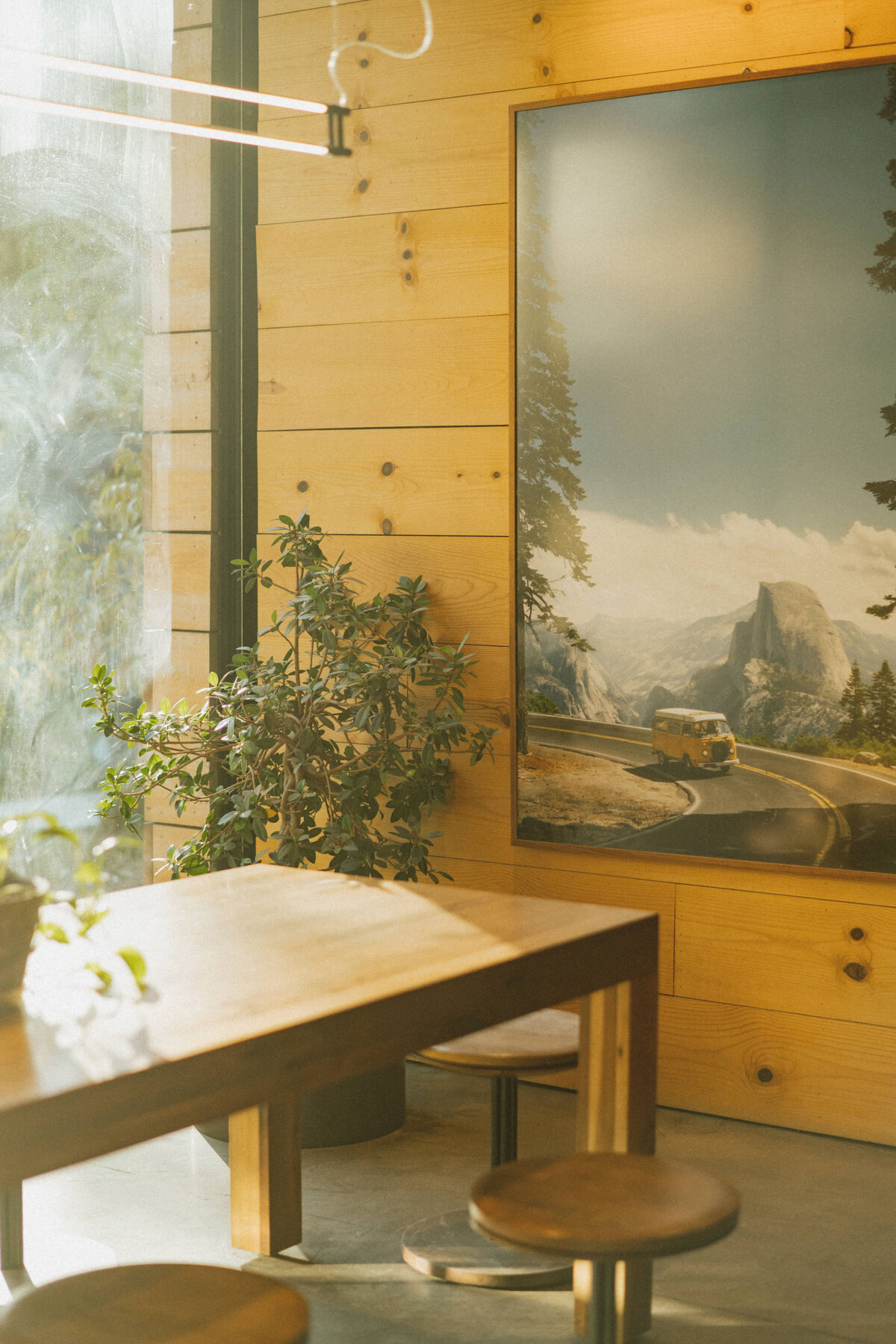 JessRankin-AutoCampYosemite-MintCollective-FAMtrip23-111