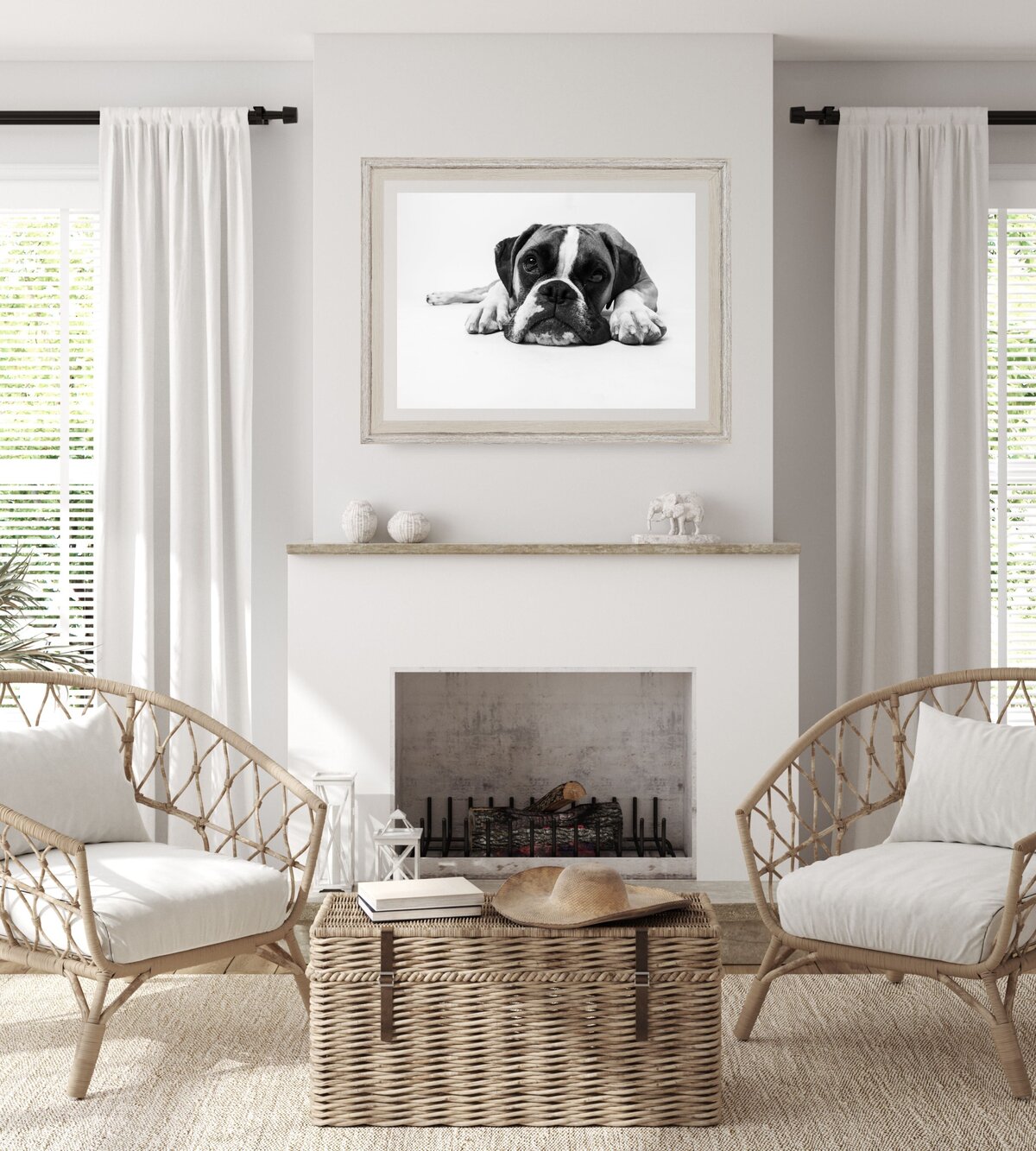 sacramento-pet-portrait-art (7)