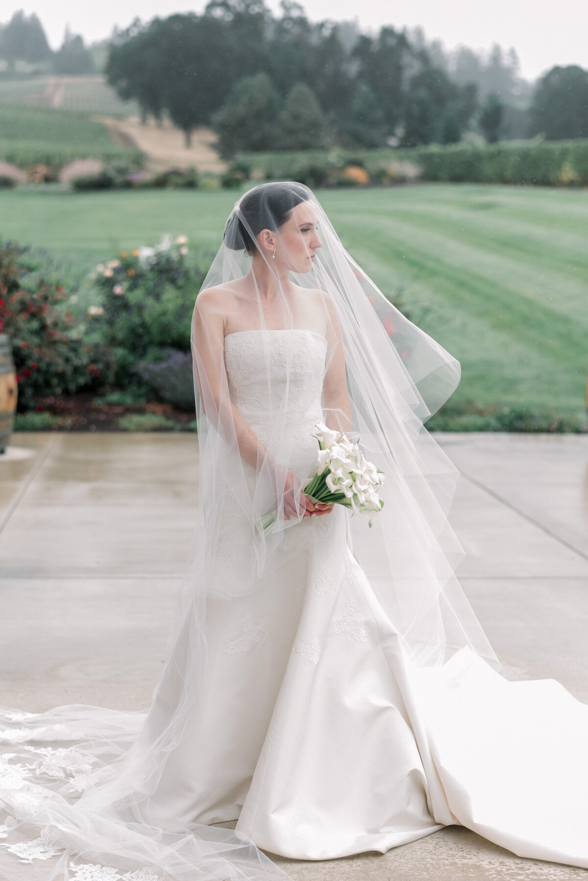 Stoller Wedding