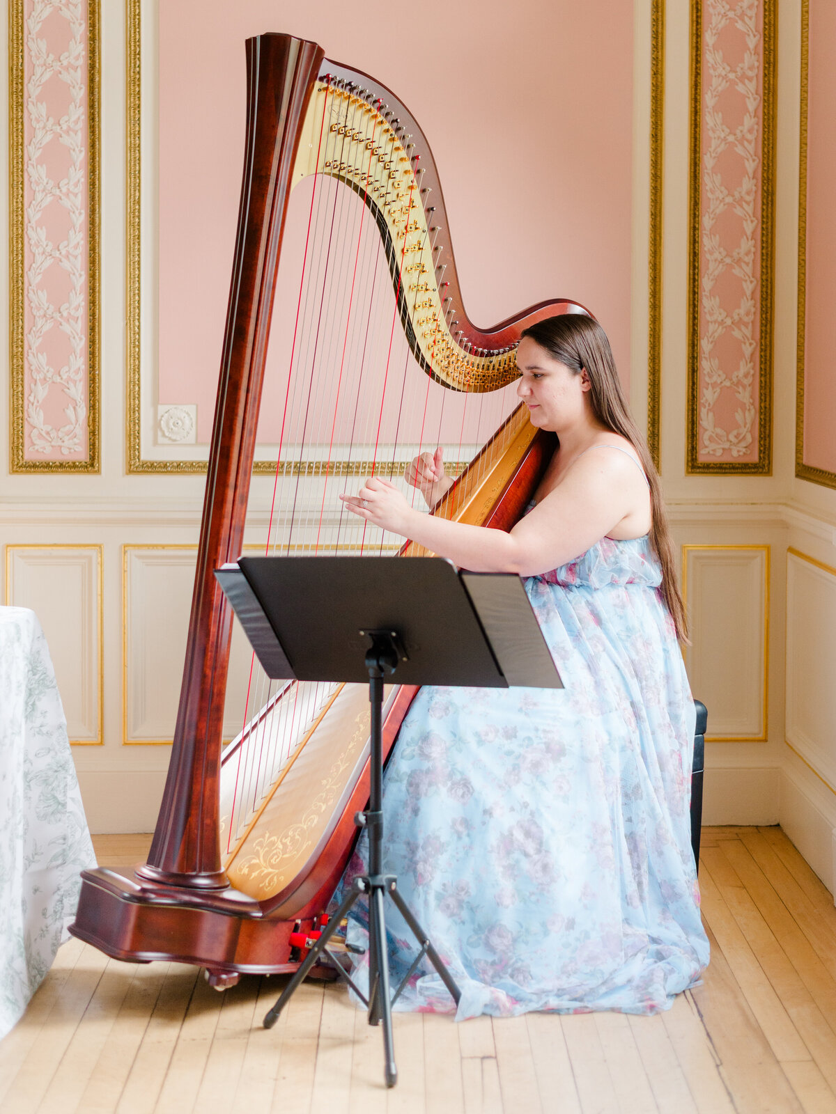 ChatGPT said:
Live harpist performing during a luxury wedding editorial at Cairnwood Estate in Bryn Athyn, Pennsylvania. Captured by Elizabeth Kane Photography, Philadelphia Fine Art Wedding Photographer, this elegant musical moment adds a timeless and romantic ambiance to the refined East Coast celebration.