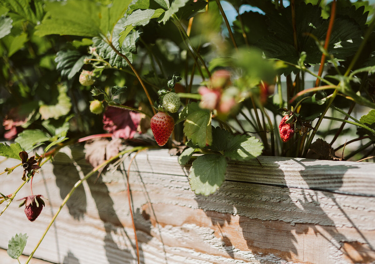 Marianne Bal Photopgraphy Basisschool St Jozef Lithoijen-322_websize