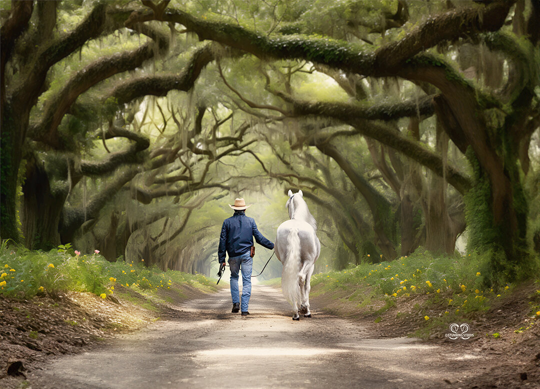 0-Profeta2-FOREST PATH walking