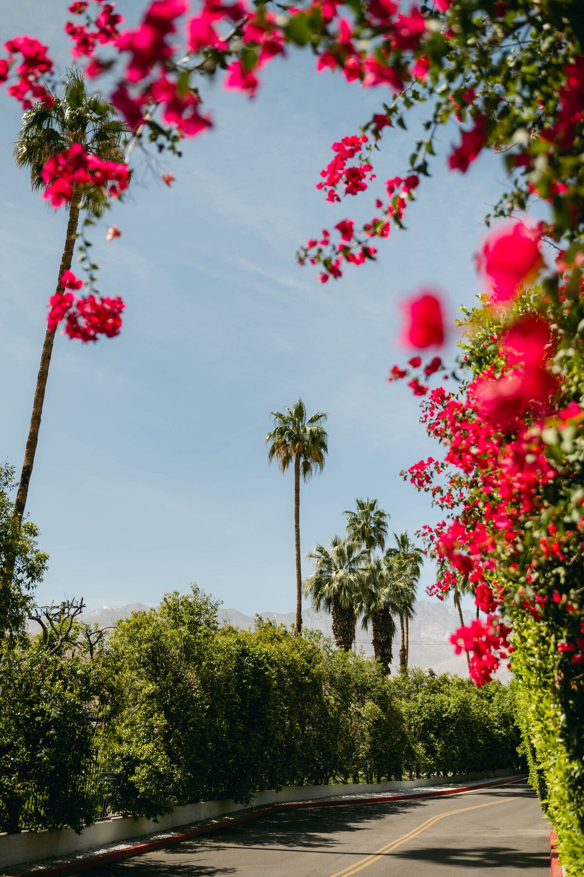 515-The-Parker-Palm-Springs-Jenna-Josh-Wedding-1