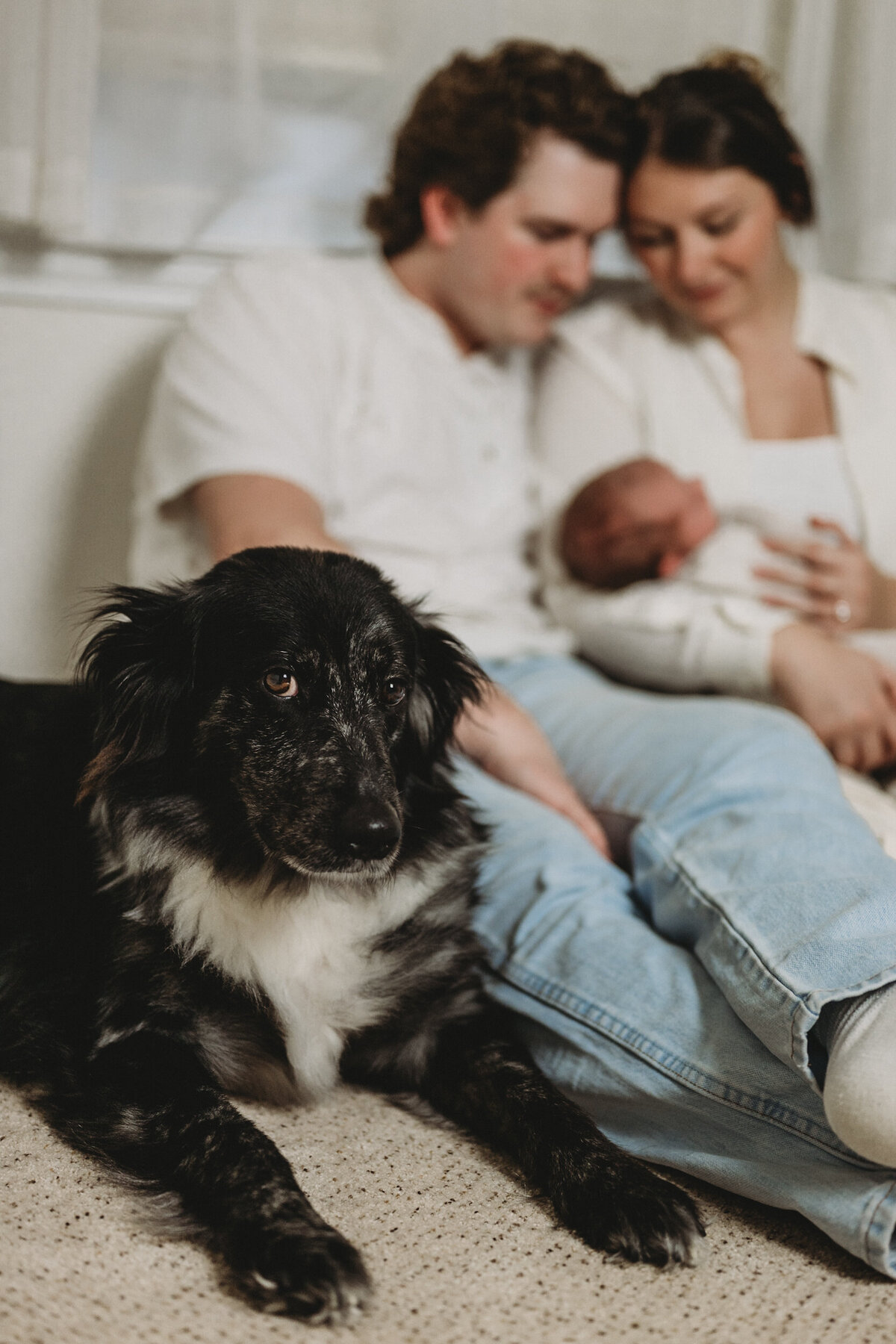 Brooks-Newborn-family-with-dog