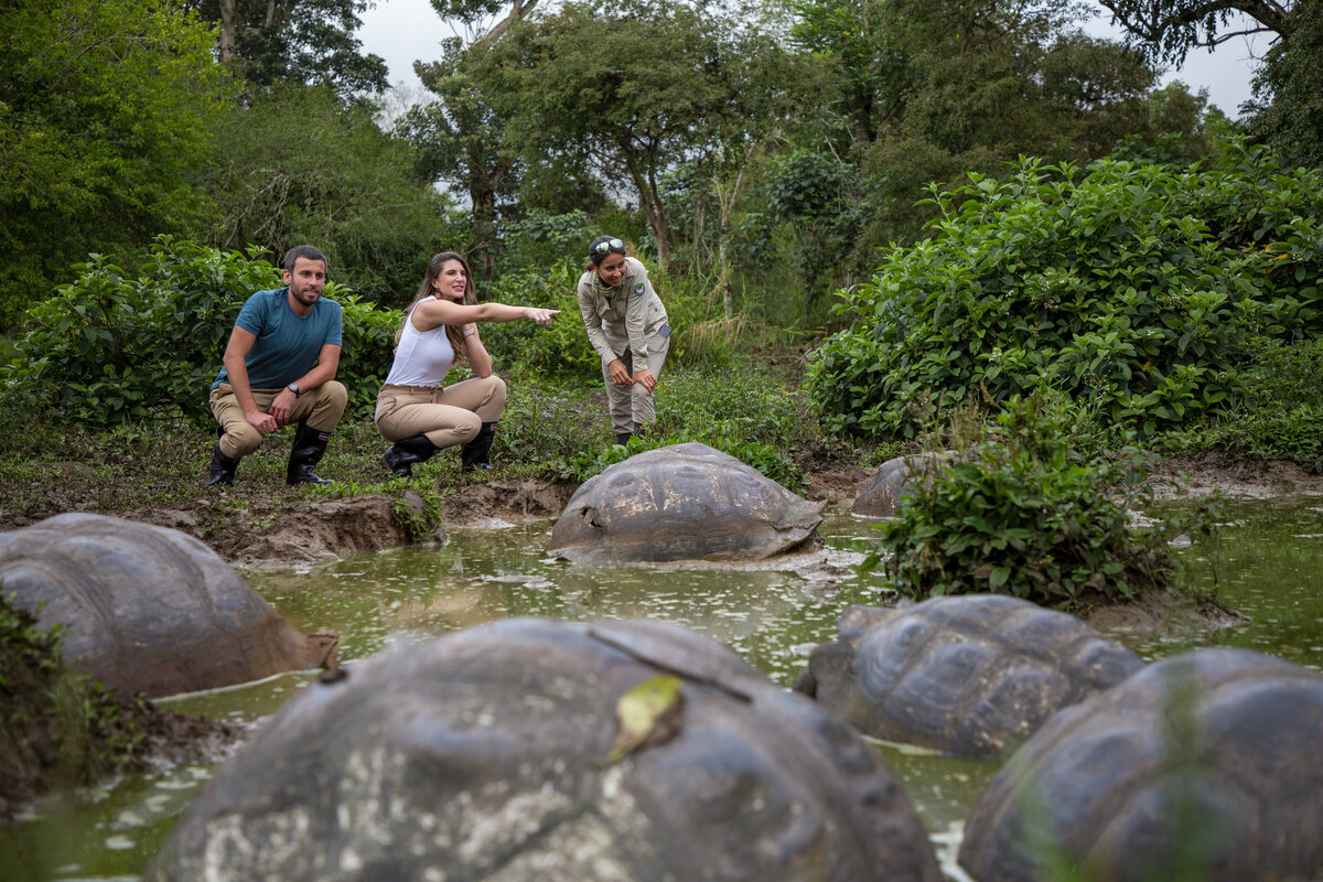 Waterstone - Metropolitan Touring- Ecuador - Luxury Destination Management Services - Galapagos-Experience-Manzanillo-Santa-Cruz-guide-turtles