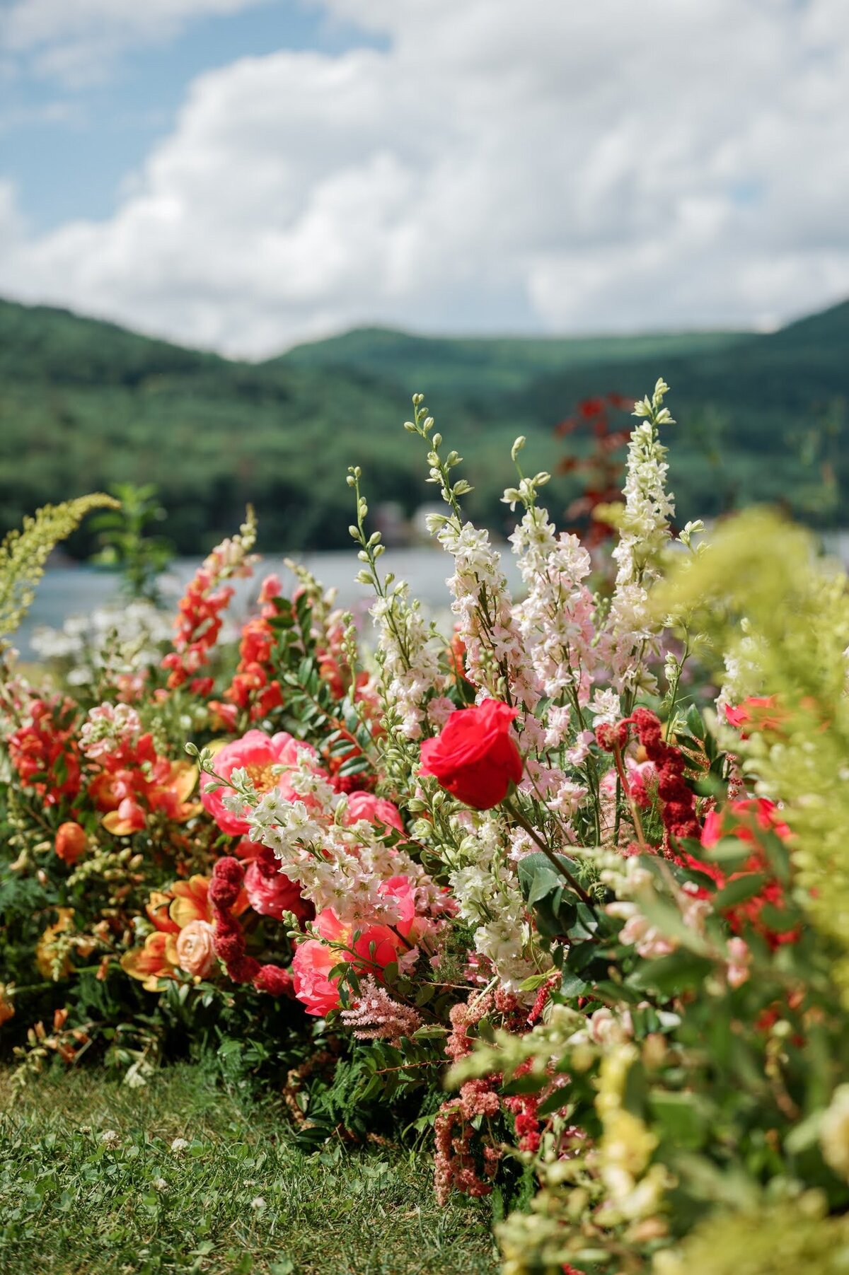 Colorful, Vermont summer florals with mountains in the background.