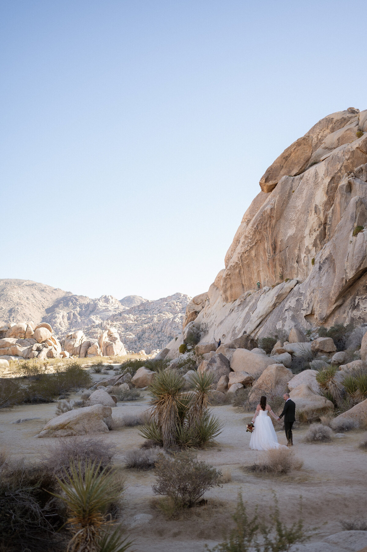 abstillsphotography_joshuatreeweddingphotographer-1154