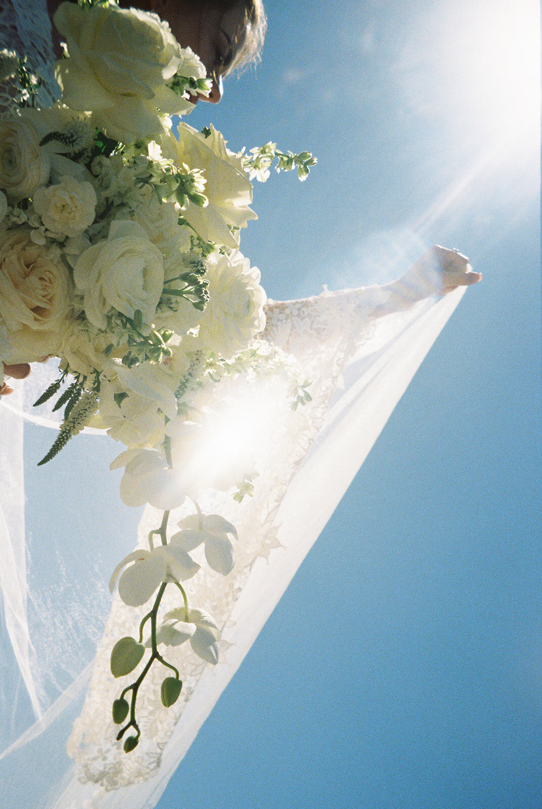 Laura Memory Photography-27 (3)