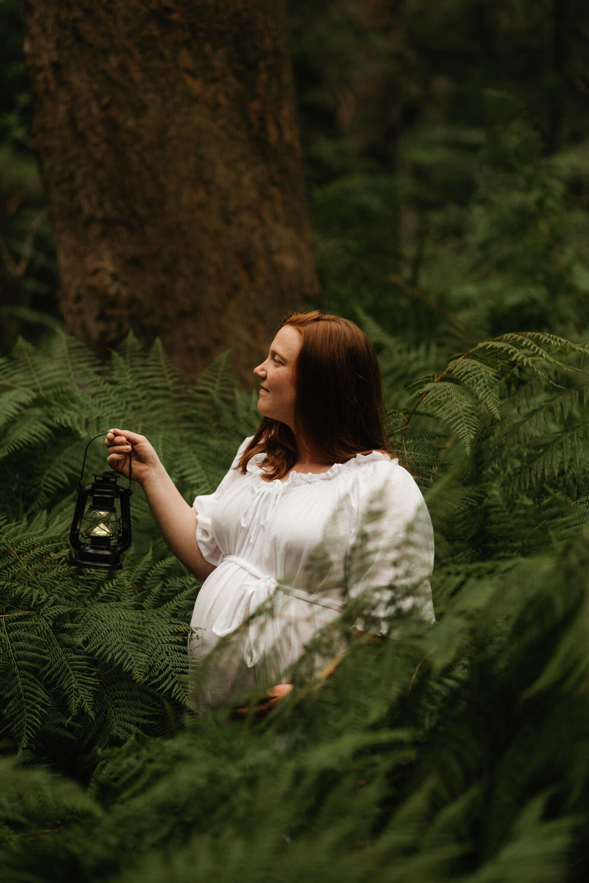 Pregnant woman in a white dress holding a lantern during a maternity photoshoot in a lush green forest in Sydney