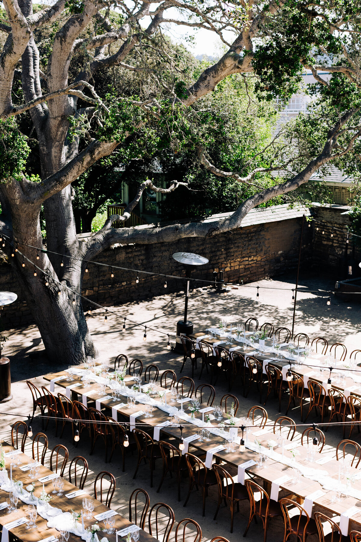 Matt_Kellen_wedding_monterey_April_2025__danipadgettphoto134986