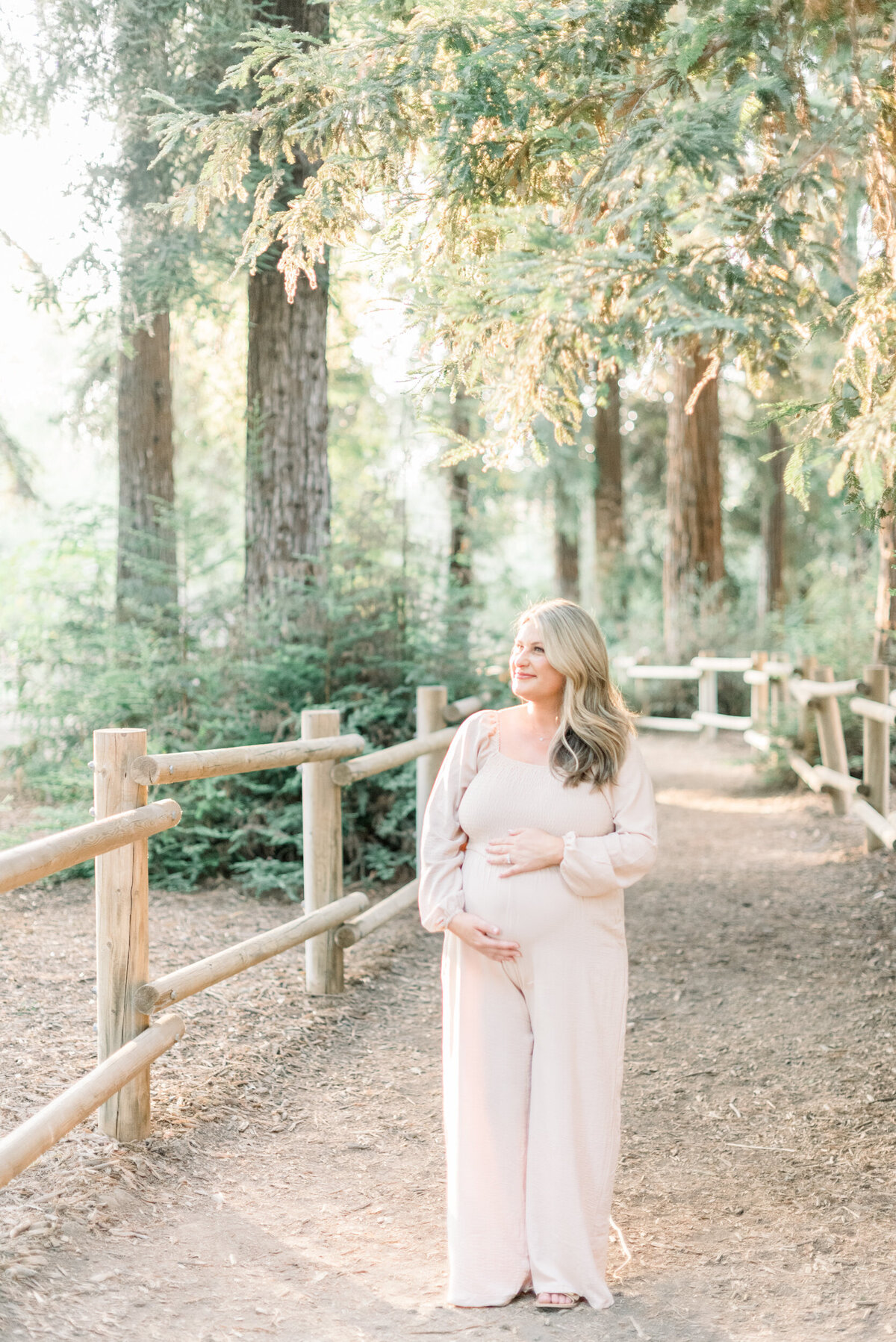 Redwood Forest-Orange County Holiday Mini Session-087