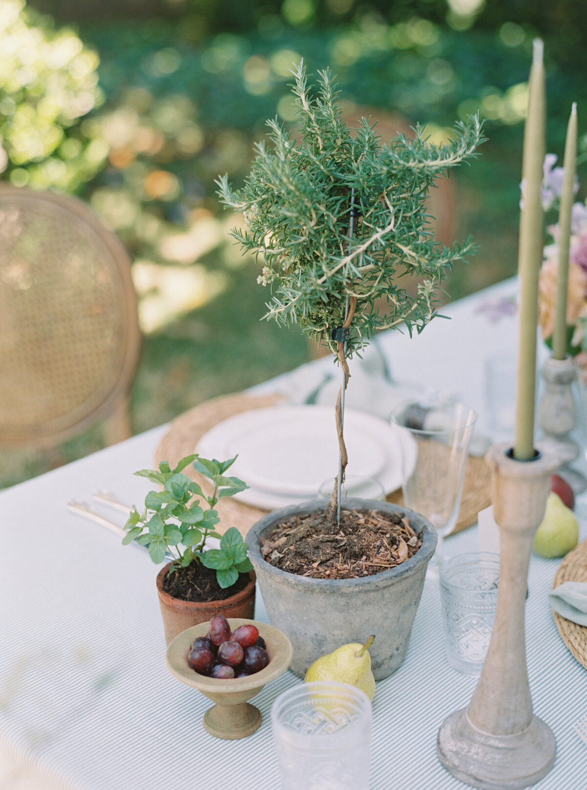 charleston lifestyle photographer 29
