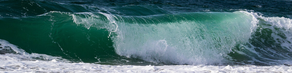 wave-surf-salish-sea