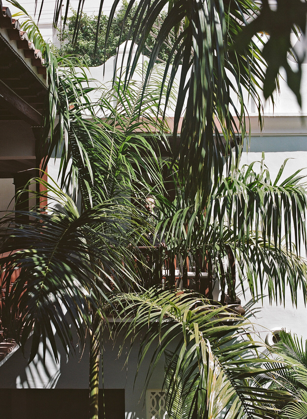 Artistic film wedding photo in  Colombia