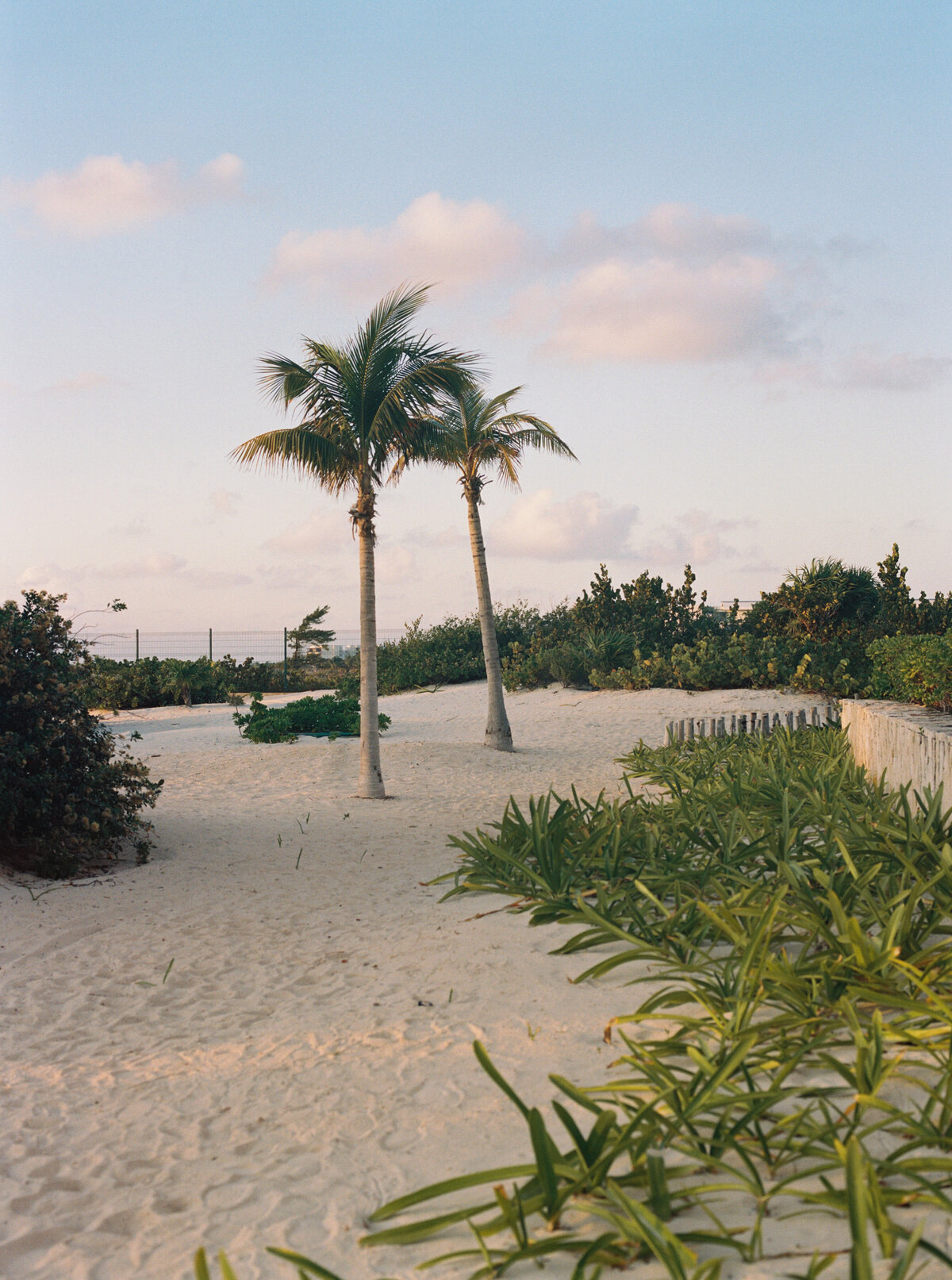 petal-glass-portfolio-72