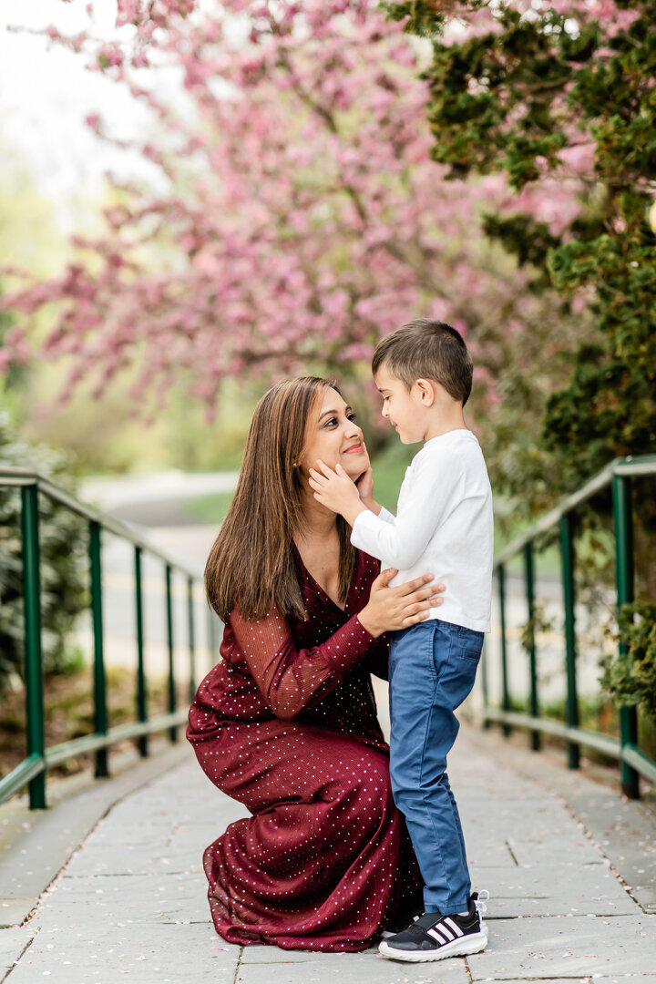 Little boy and mother near cherry blossom tree