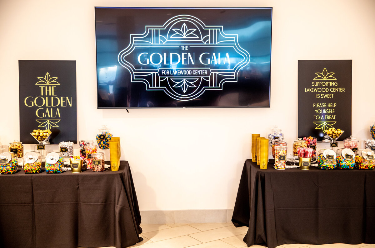 Lakewood Center Gala by Party Perfect Lakewood Gala-1325
