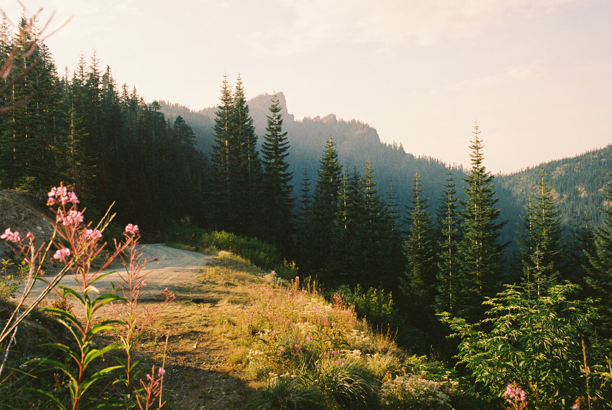Mt Rainier