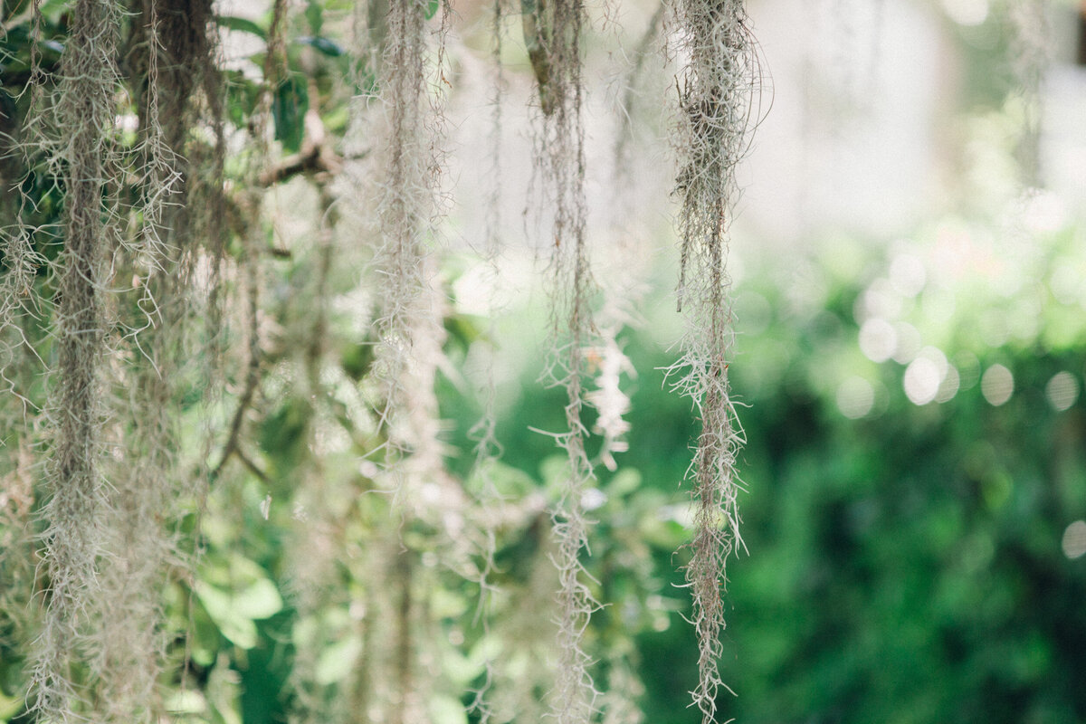 Wedding-Photographer-Hilton-Head-Island49